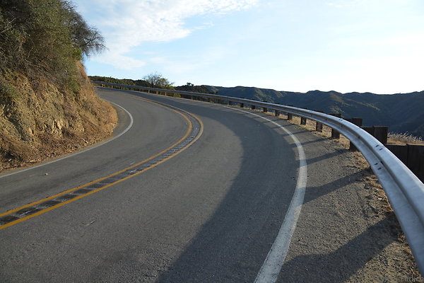 DSC 8698
