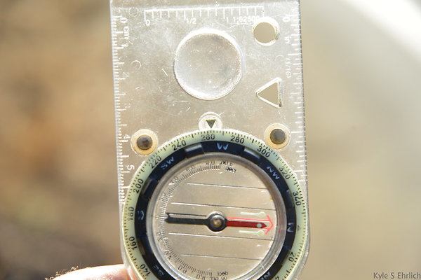 DSC 8666