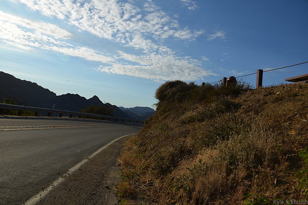 DSC 8739