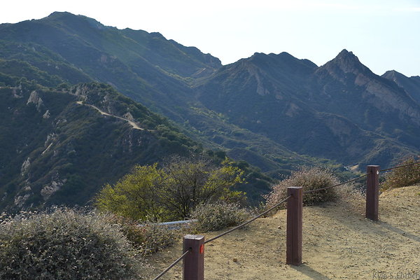 DSC 9010