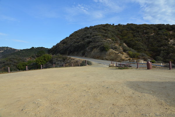 DSC 9018