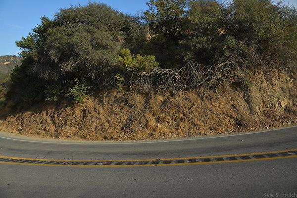 DSC 8680