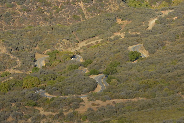 DSC 8694