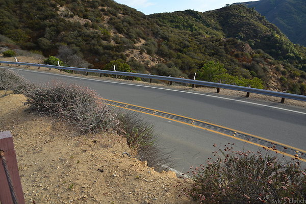 DSC 8571