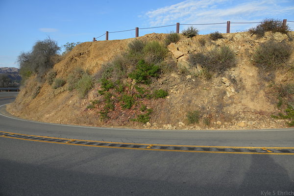 DSC 8617