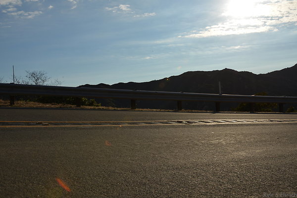 DSC 8731