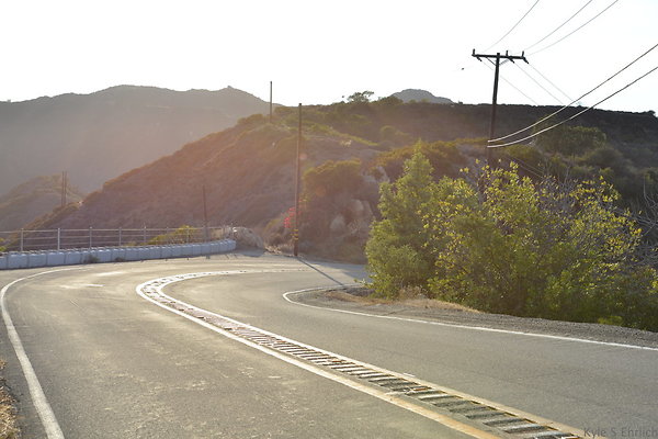 DSC 8899