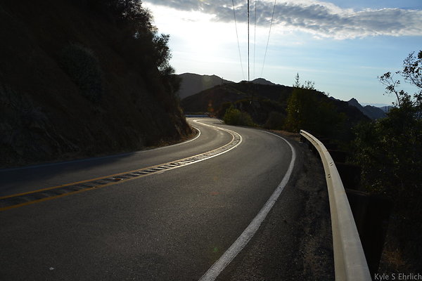 DSC 8878