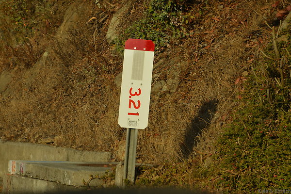 DSC 8926