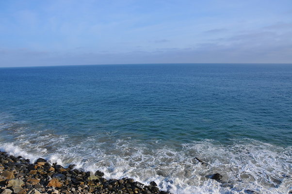 DSC 2093