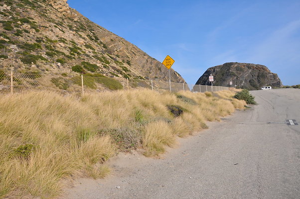DSC 1878
