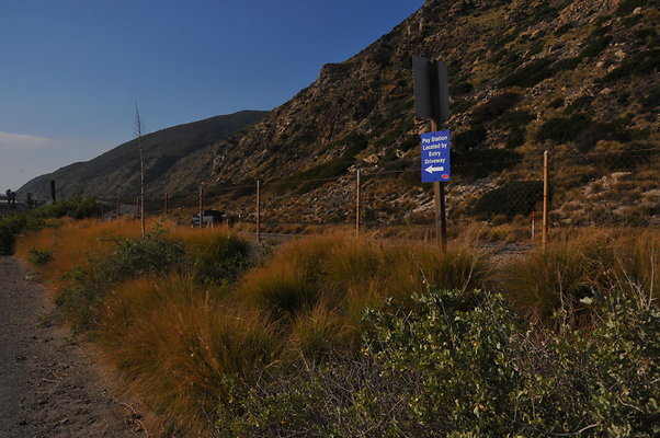 DSC 1753