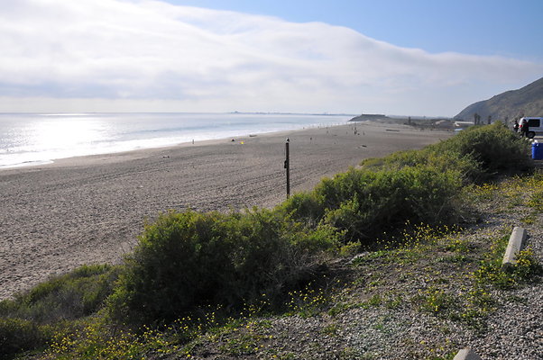 DSC 1873