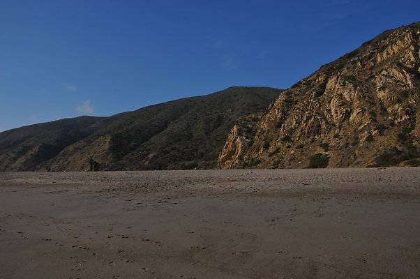 DSC 1950