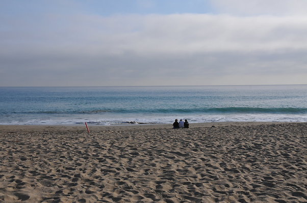 DSC 1919