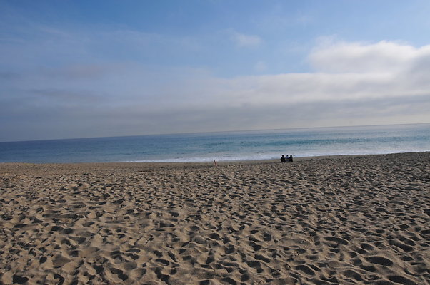 DSC 1914