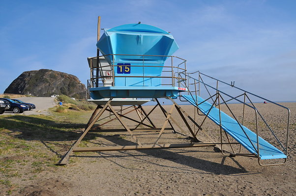DSC 3013
