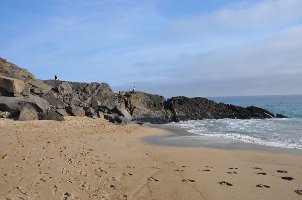 DSC 2009
