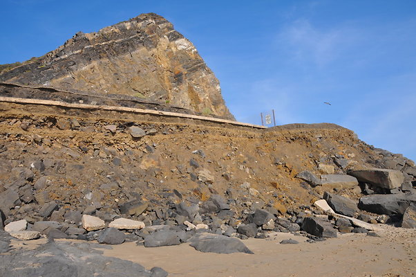 DSC 2003