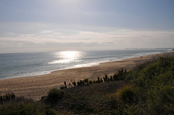 DSC 1770