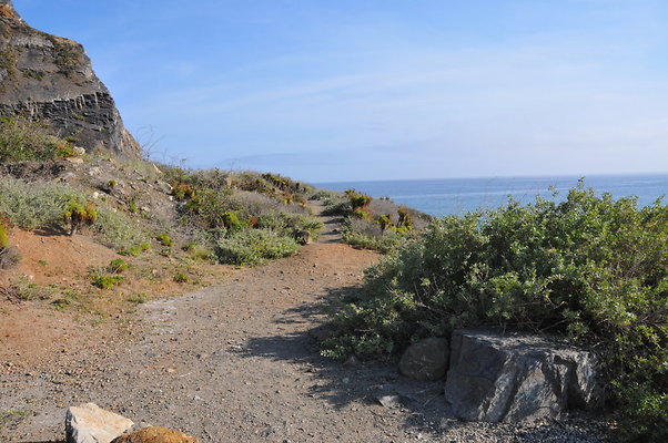 DSC 1765