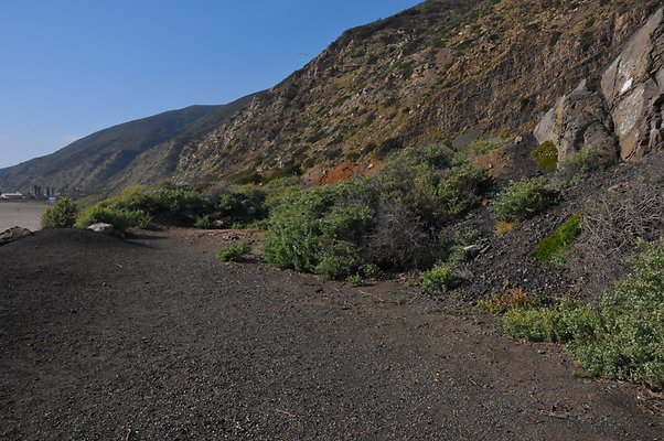 DSC 1789
