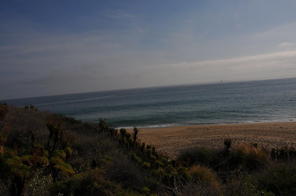 DSC 1769