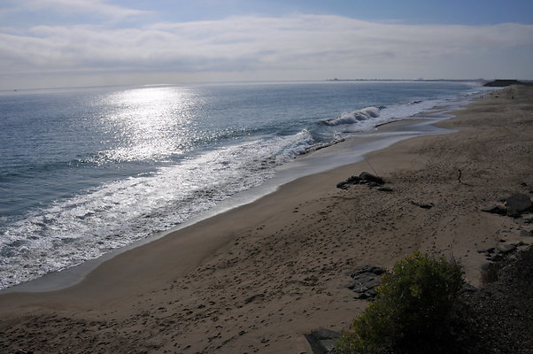 DSC 1805