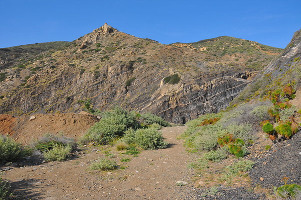 DSC 1839