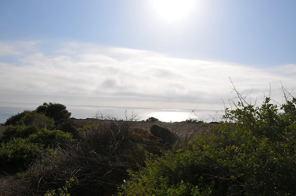 DSC 1861