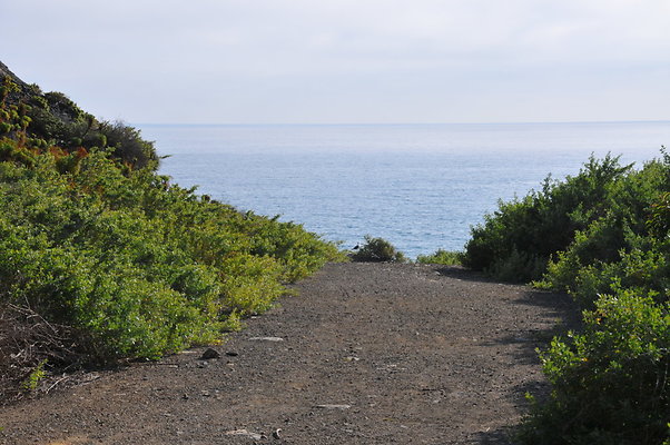 DSC 1864