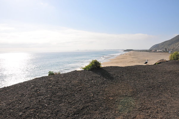 DSC 1788