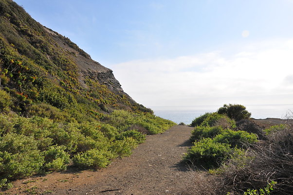 DSC 1855