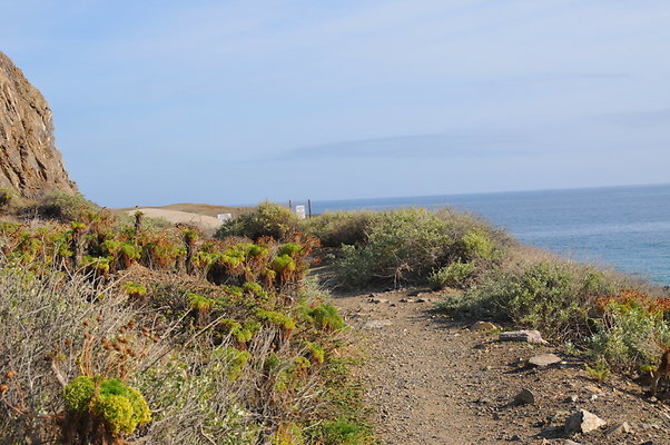 DSC 1774