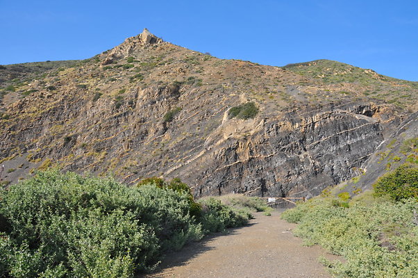 DSC 1846