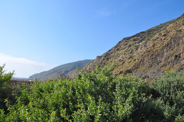 DSC 1845