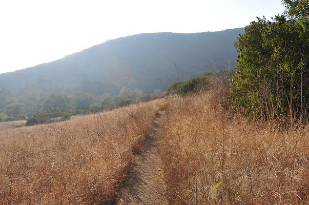 21 Trails