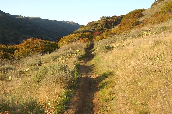 Nicholas Flat Trail
