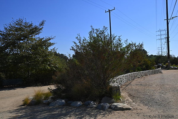 DSC 6134