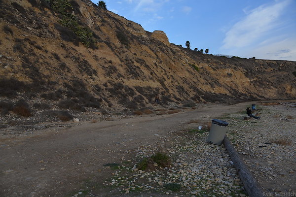 DSC 3613