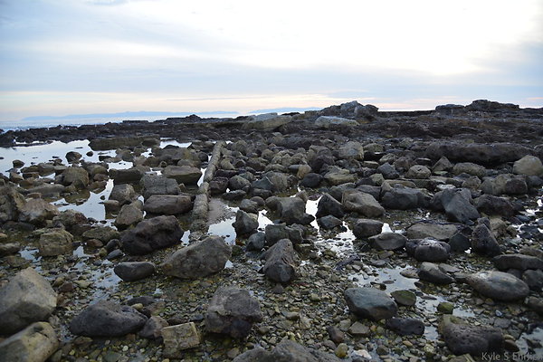 DSC 3685