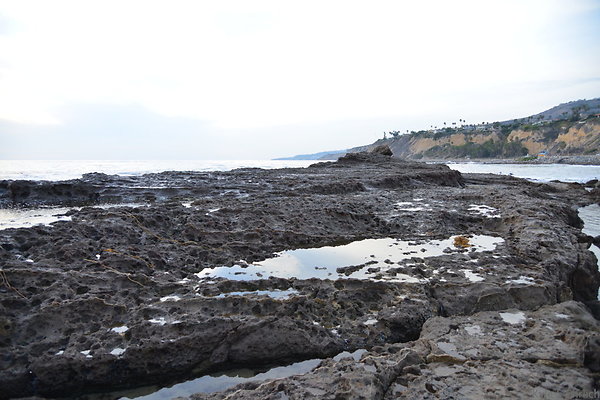 DSC 3731
