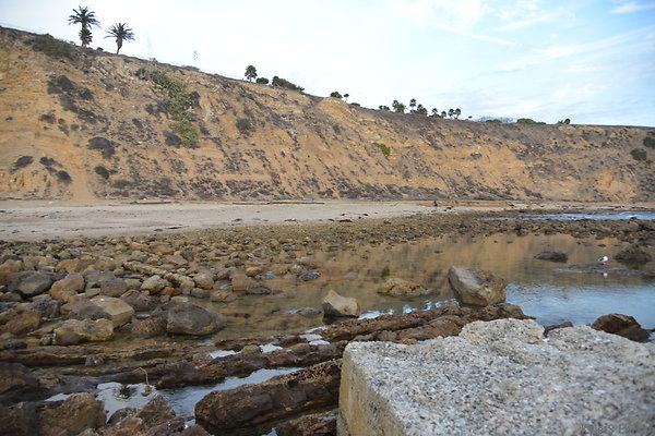 DSC 3776