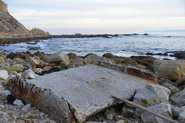 DSC 3646