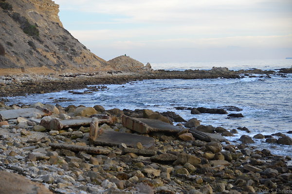 DSC 3626