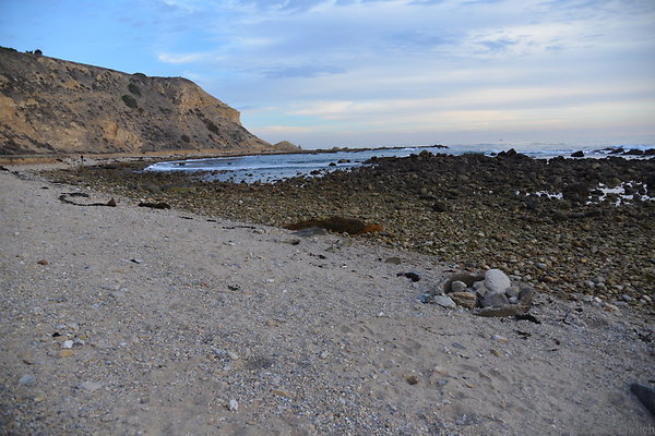 DSC 3675