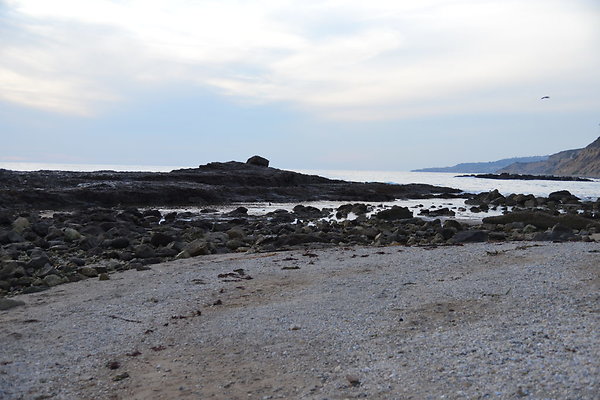 DSC 3678
