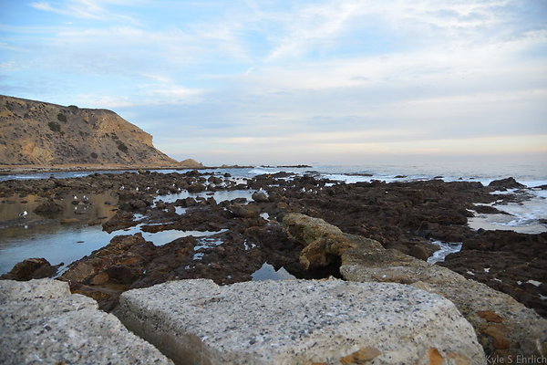 DSC 3778