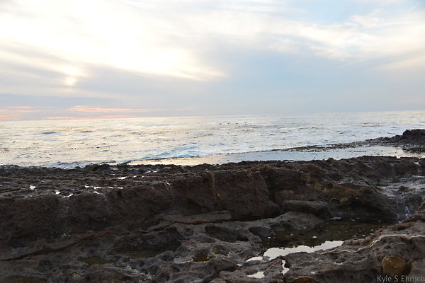 DSC 3763