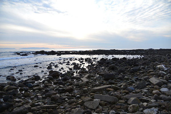 DSC 3651